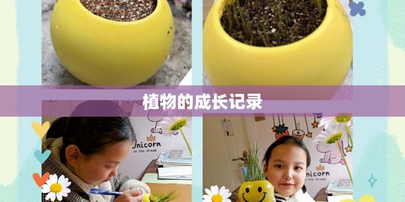 植物的成长记录