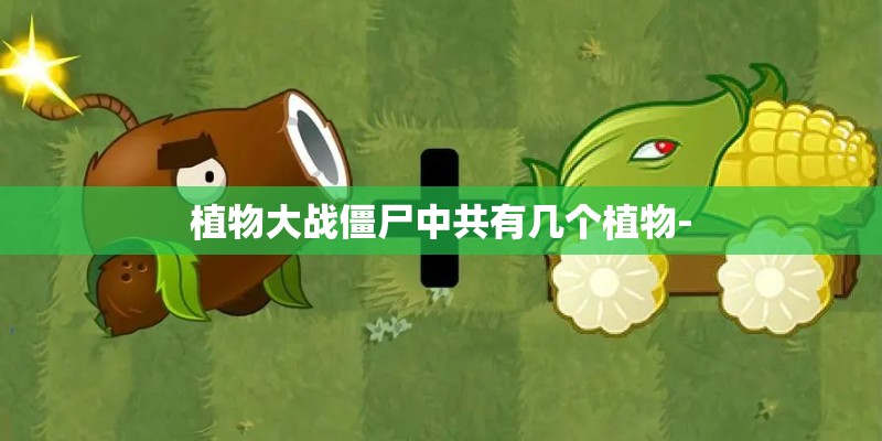植物大战僵尸中共有几个植物-