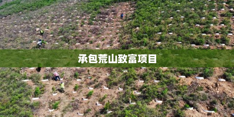 承包荒山致富项目