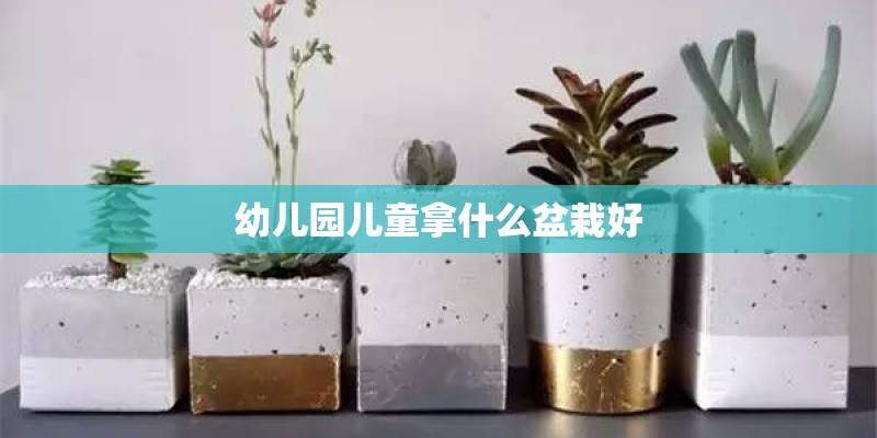 幼儿园儿童拿什么盆栽好