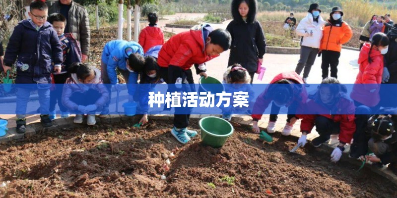 种植活动方案