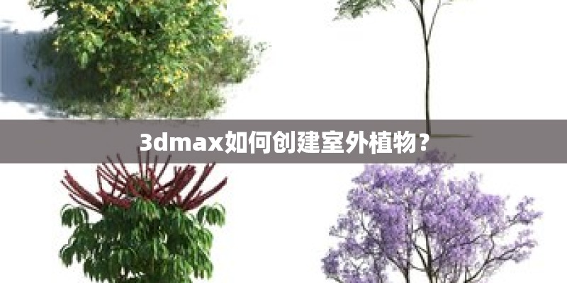 3dmax如何创建室外植物？