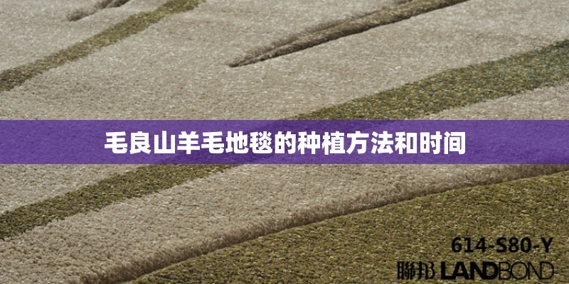 毛良山羊毛地毯的种植方法和时间