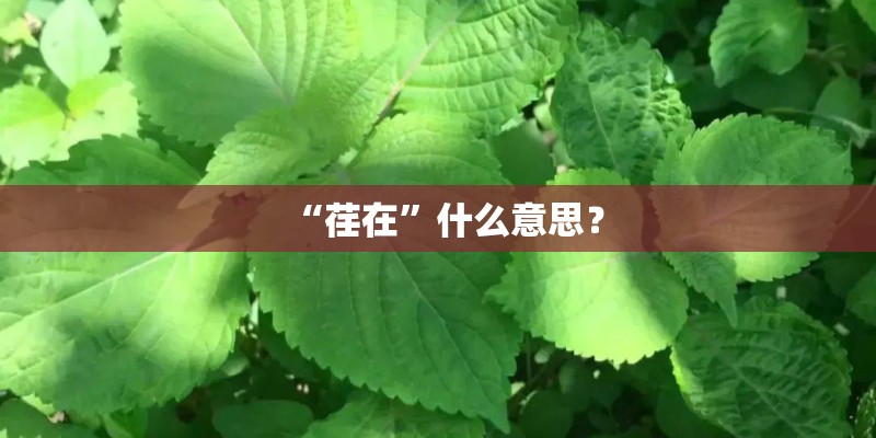 “荏在”什么意思？