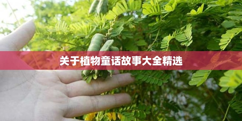 关于植物童话故事大全精选