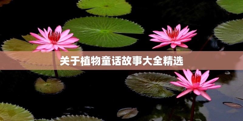 关于植物童话故事大全精选