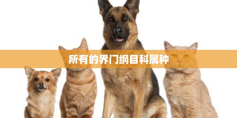 所有的界门纲目科属种