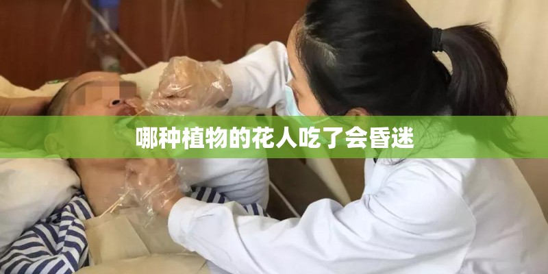 哪种植物的花人吃了会昏迷