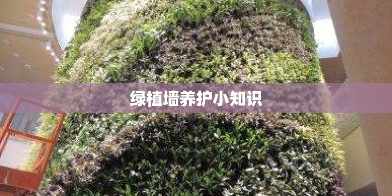 绿植墙养护小知识