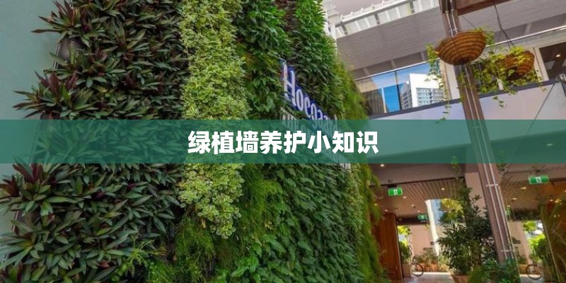 绿植墙养护小知识