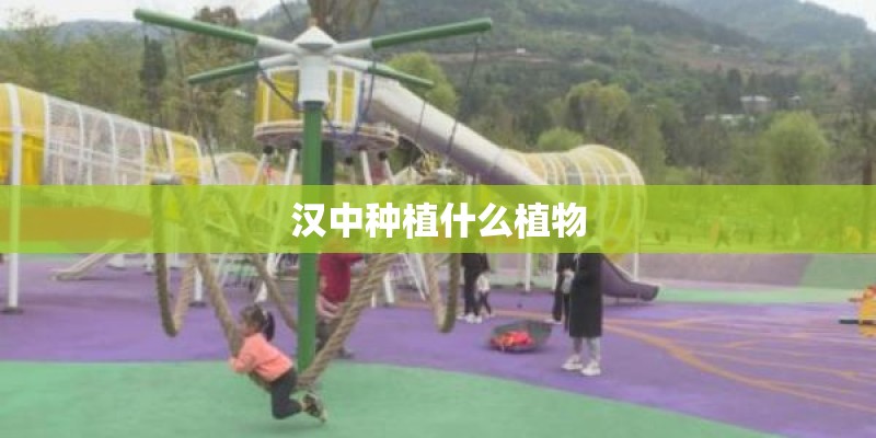 汉中种植什么植物