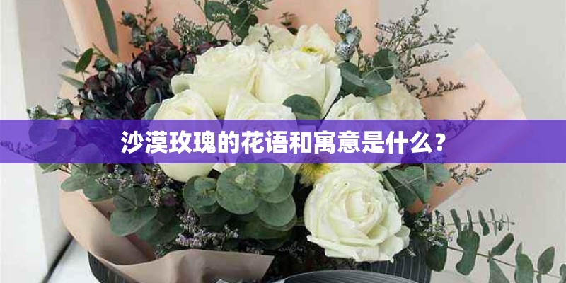沙漠玫瑰的花语和寓意是什么？