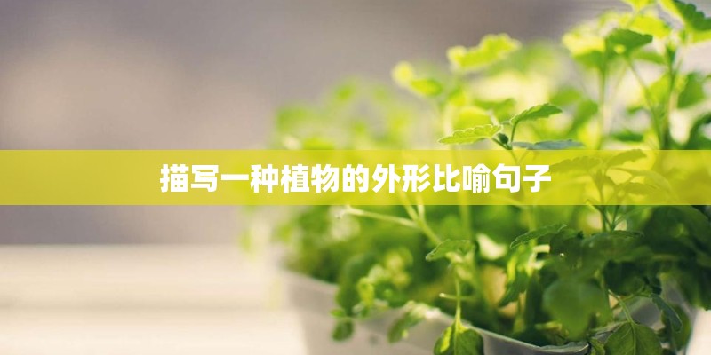 描写一种植物的外形比喻句子