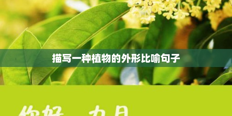描写一种植物的外形比喻句子