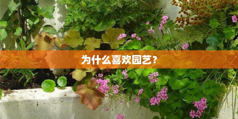 为什么喜欢园艺？