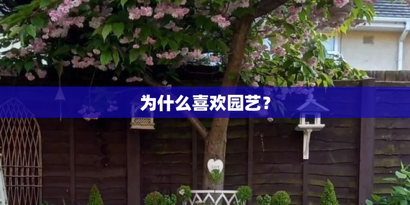 为什么喜欢园艺？
