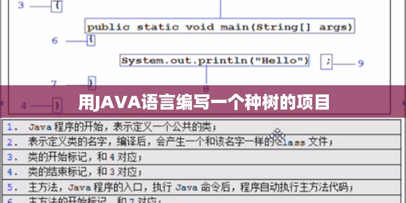 用JAVA语言编写一个种树的项目