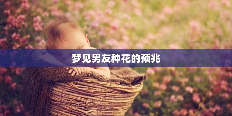 梦见男友种花的预兆