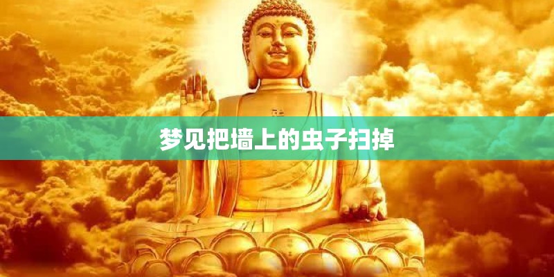 梦见把墙上的虫子扫掉