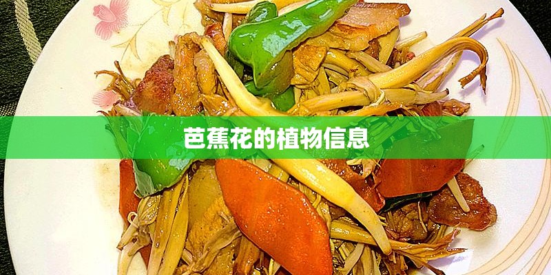 芭蕉花的植物信息