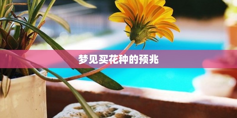 梦见买花种的预兆