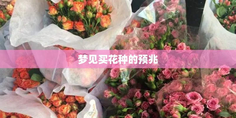 梦见买花种的预兆