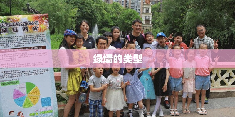 绿墙的类型