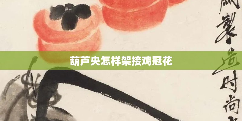 葫芦央怎样架接鸡冠花 葫芦央怎样架接鸡冠花