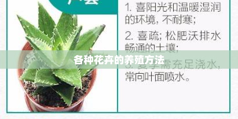 各种花卉的养殖方法