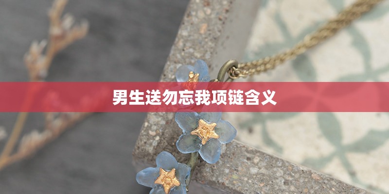 男生送勿忘我项链含义
