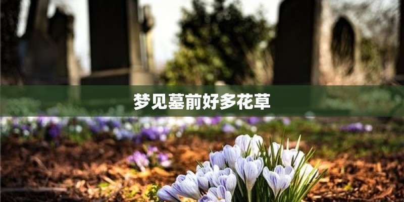 梦见墓前好多花草