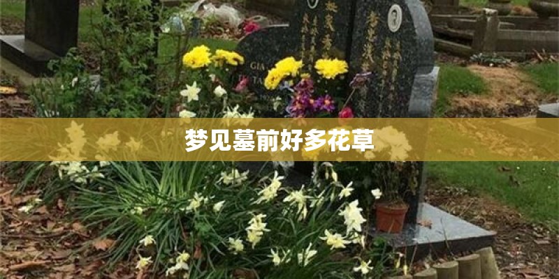 梦见墓前好多花草