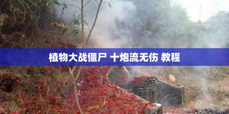 植物大战僵尸 十炮流无伤 教程