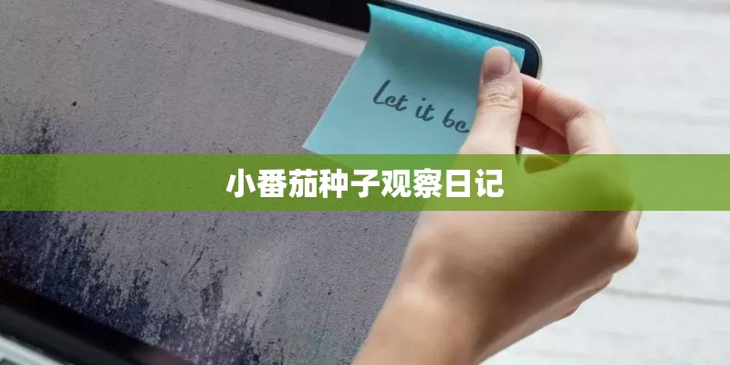 小番茄种子观察日记