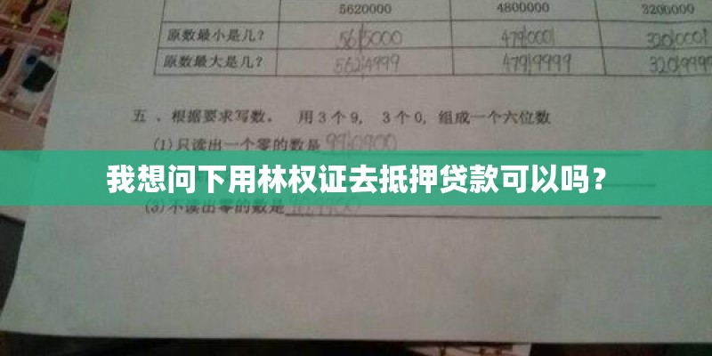 我想问下用林权证去抵押贷款可以吗？