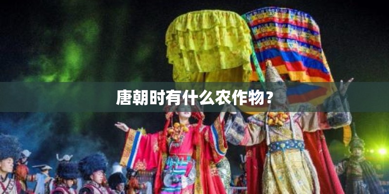 唐朝时有什么农作物？