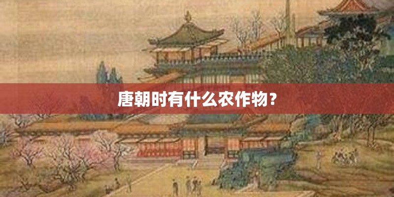 唐朝时有什么农作物？
