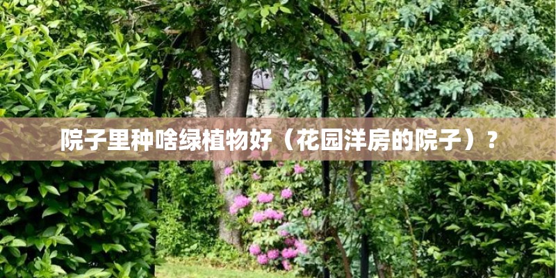 院子里种啥绿植物好（花园洋房的院子）？