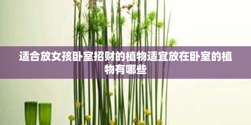 适合放女孩卧室招财的植物适宜放在卧室的植物有哪些 适合放女孩卧室招财的植物适宜放在卧室的植物有哪些
