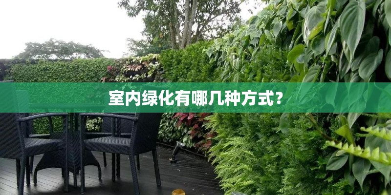 室内绿化有哪几种方式？