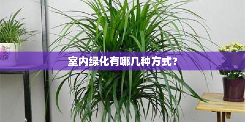 室内绿化有哪几种方式？