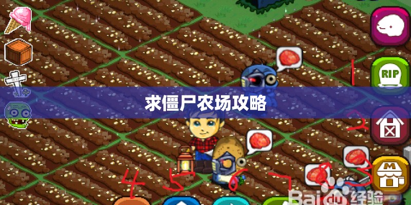 求僵尸农场攻略