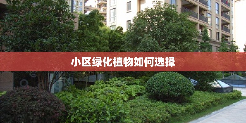 小区绿化植物如何选择