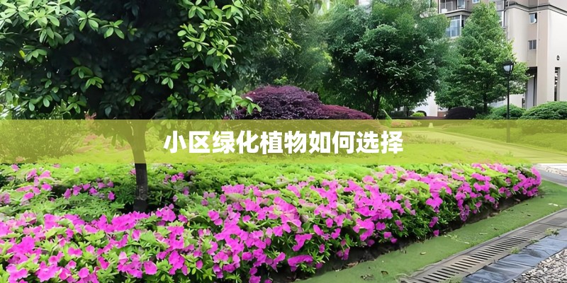 小区绿化植物如何选择