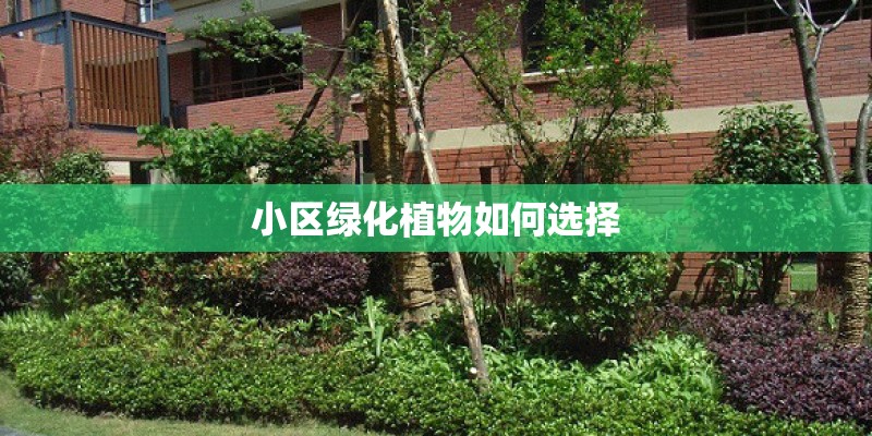 小区绿化植物如何选择