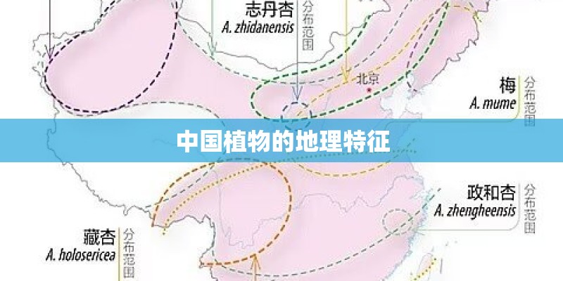 中国植物的地理特征