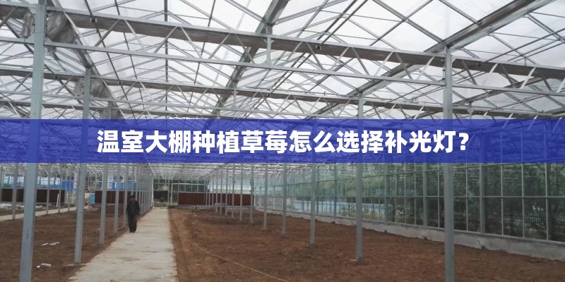 温室大棚种植草莓怎么选择补光灯？