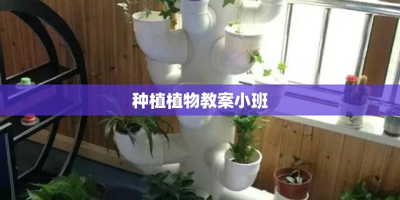 种植植物教案小班