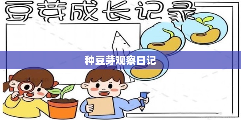 种豆芽观察日记