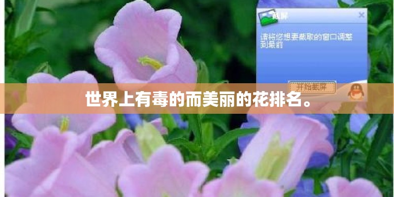 世界上有毒的而美丽的花排名。